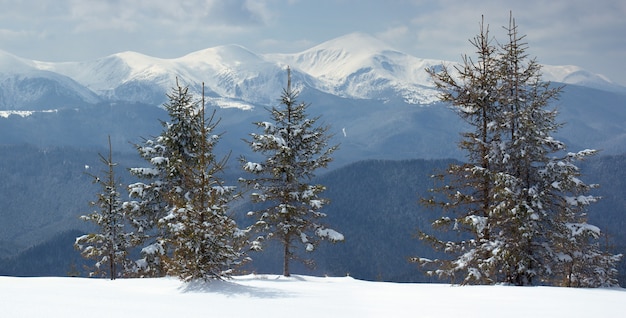 Paesaggio invernale in montagna