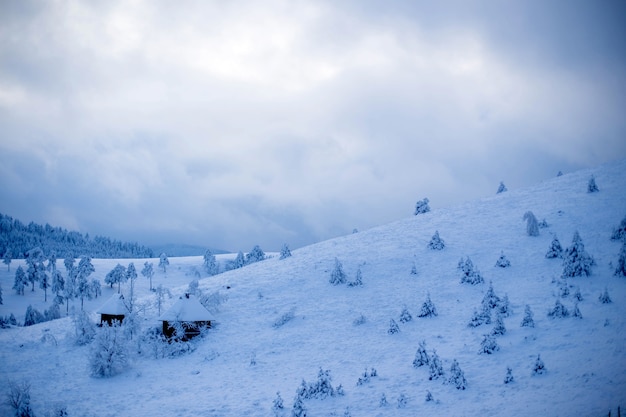 Paesaggio invernale in montagna