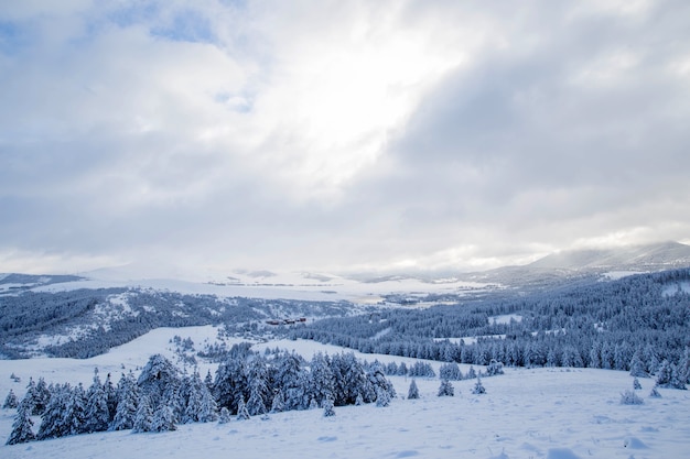 Paesaggio invernale in montagna