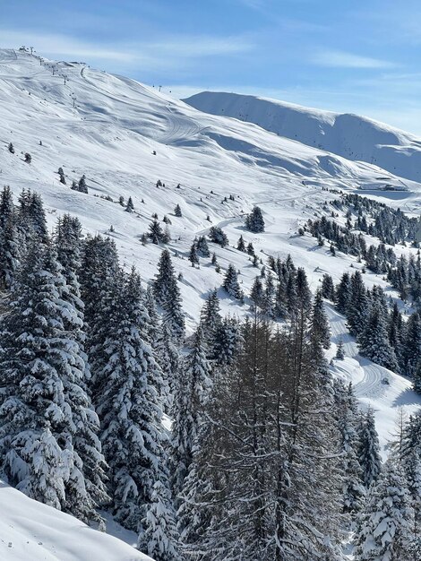 Paesaggio invernale in montagna