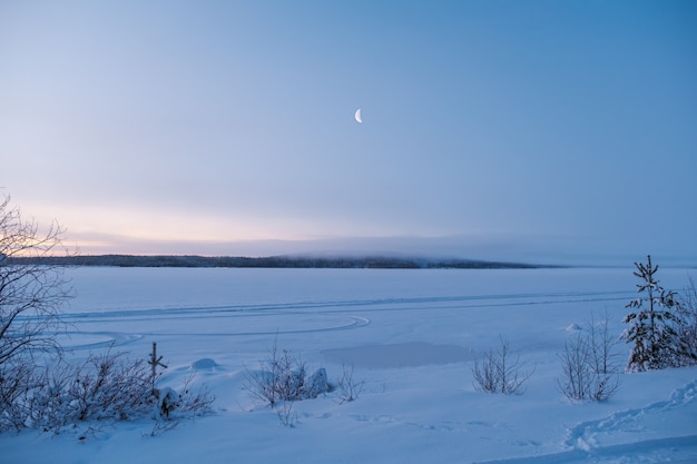 Paesaggio invernale in Russia. Luna nuova che sorge sopra la foresta