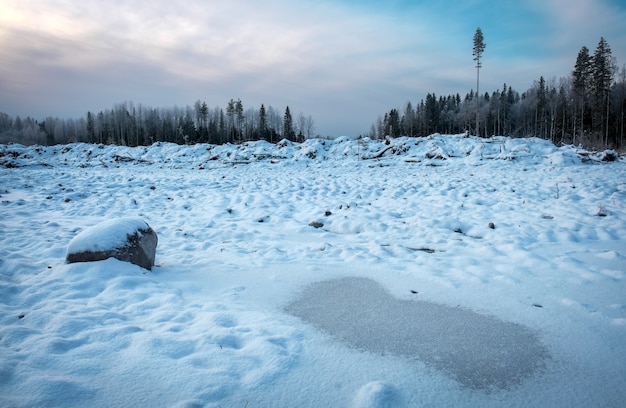 Paesaggio invernale in un campo