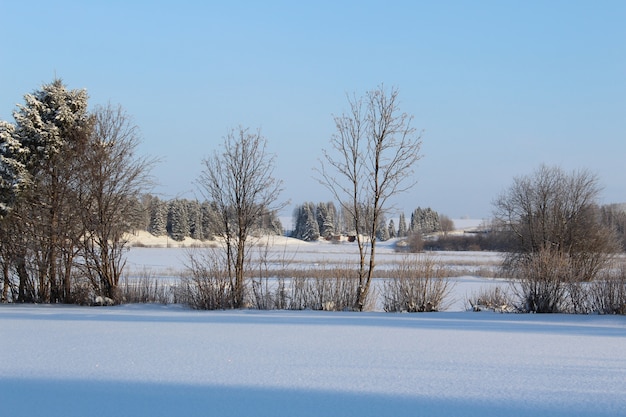 Paesaggio invernale in una soleggiata giornata gelida