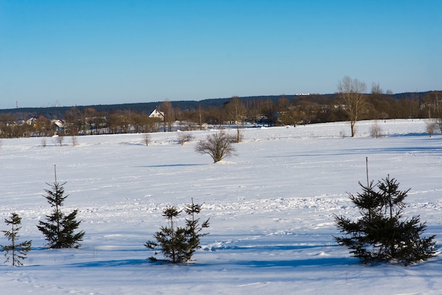 Paesaggio invernale innevato, campo, prato con cielo blu