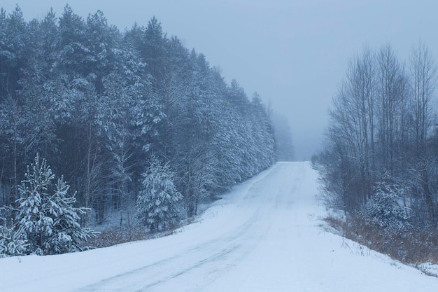 Paesaggio invernale innevato nebbioso blu