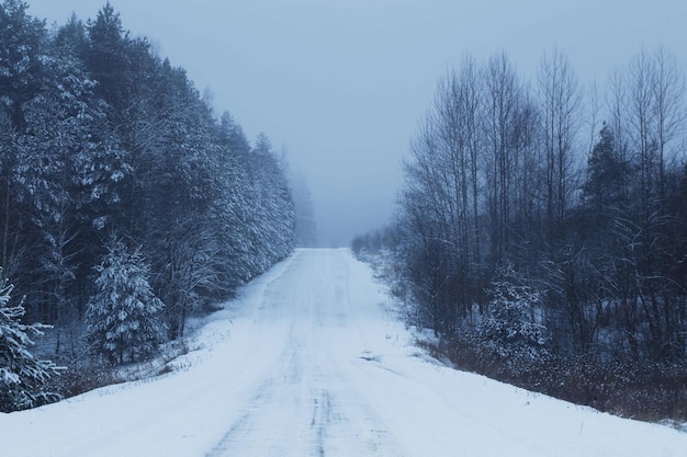 Paesaggio invernale innevato nebbioso blu