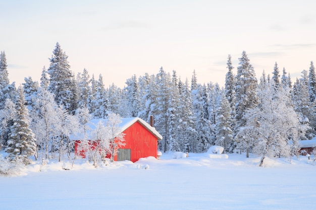 Paesaggio invernale Kiruna Svezia