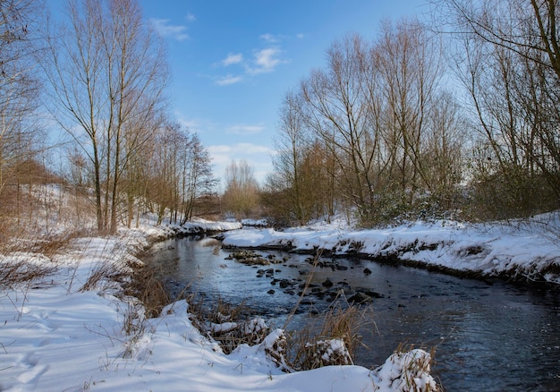 paesaggio invernale, la riva del fiume e la neve