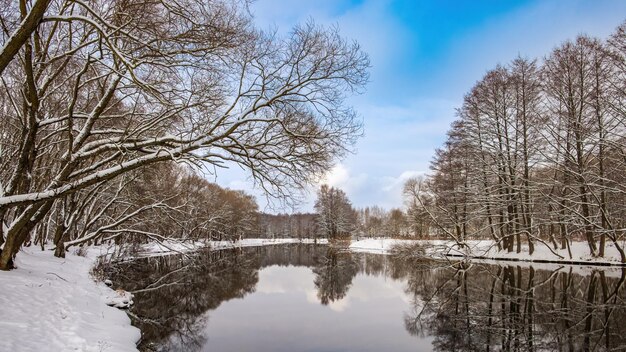 Paesaggio invernale La superficie del fiume dell'acqua cielo blu neve sulle sponde riflessi di alberi senza fogliame nell'acqua