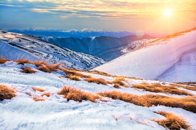 Paesaggio invernale. Natura