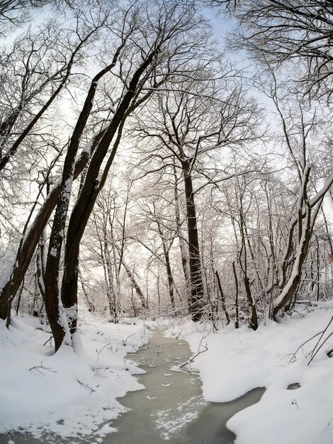 Paesaggio invernale nel paese in una giornata di sole