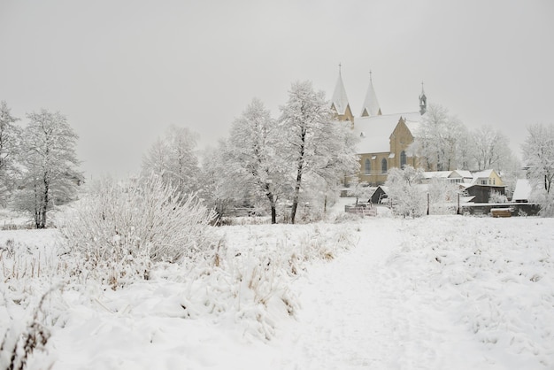 Paesaggio invernale nel villaggio