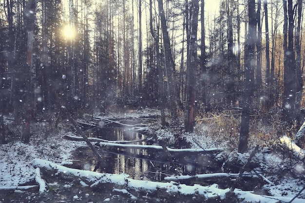 paesaggio invernale nella foresta / tempo nevoso a gennaio, bellissimo paesaggio nella foresta innevata, un viaggio al nord