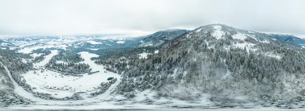 Paesaggio invernale nella nebbia con neve e rami coperti di brina e neve ghiacciata Foto di alta qualità