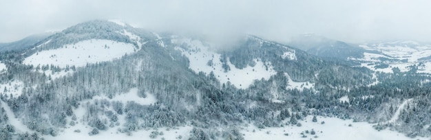 Paesaggio invernale nella nebbia con neve e rami coperti di brina e neve ghiacciata Foto di alta qualità