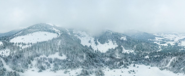 Paesaggio invernale nella nebbia con neve e rami coperti di brina e neve ghiacciata Foto di alta qualità