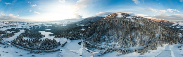 Paesaggio invernale nella nebbia con neve e rami coperti di brina e neve ghiacciata Foto di alta qualità