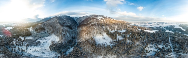 Paesaggio invernale nella nebbia con neve e rami coperti di brina e neve ghiacciata Foto di alta qualità