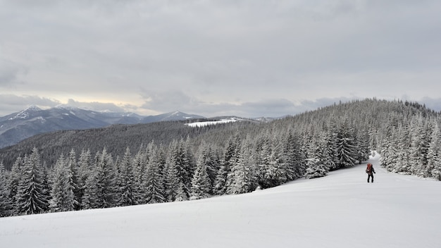 Paesaggio invernale nelle montagne dei Carpazi