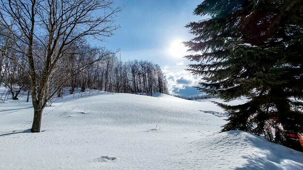 Paesaggio invernale nelle montagne innevate di Sapporo Hokkaido GiapponeSki Touring