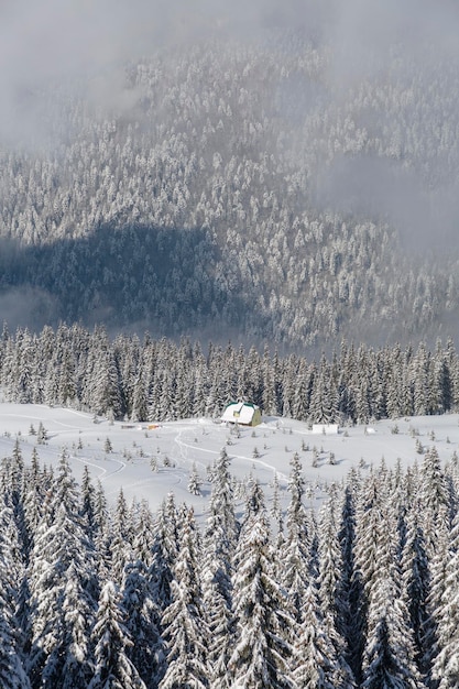 Paesaggio invernale panoramico con abeti innevati e piccolo cottage