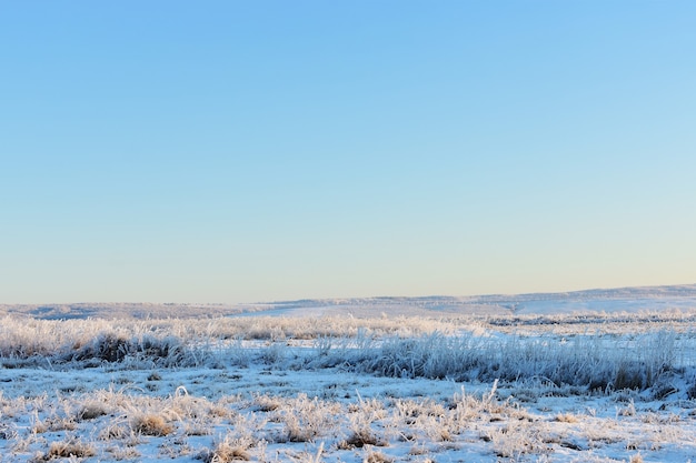 Paesaggio invernale rurale, cielo blu chiaro, foreste, campi, erba coperta di brina in una giornata di sole