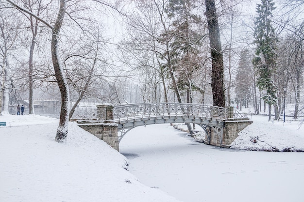 Paesaggio invernale simile a un parco innevato. Paesaggio invernale. Forti nevicate nel parco. Prima neve.