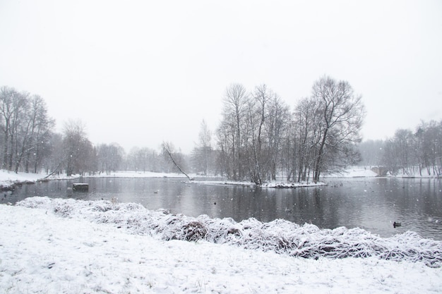 Paesaggio invernale simile a un parco innevato. Paesaggio invernale. Forti nevicate nel parco. Prima neve.