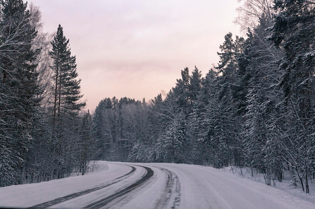 Paesaggio invernale strada attraverso un bosco innevato Viaggio invernale