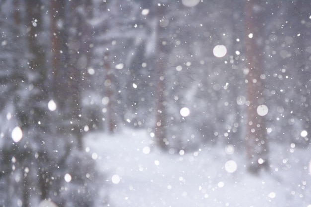 Paesaggio invernale. Strade innevate di bellezza da favola. Nevicate e raffreddamento nelle zone turistiche.