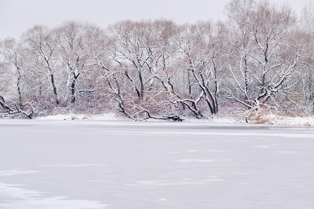 Paesaggio invernale sul lago con vista sulla riva con alberi