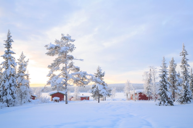 Paesaggio invernale Svezia Lapponia