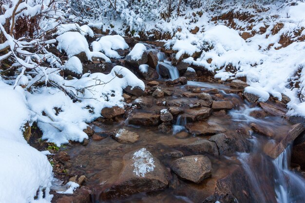 Paesaggio invernale un piccolo ruscello veloce scorre nella foresta tra gli alberi Carpazi Ucraina