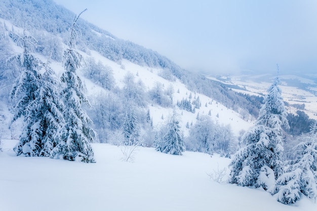 Paesaggio invernale