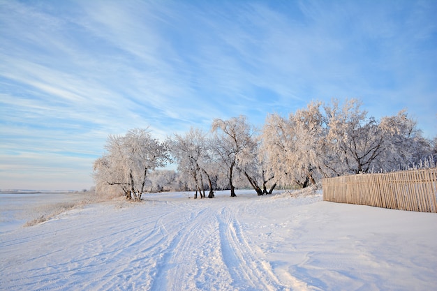 Paesaggio invernale