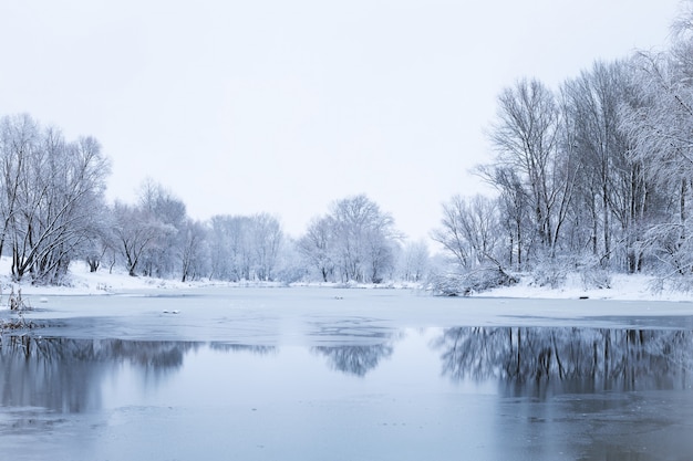 Paesaggio invernale