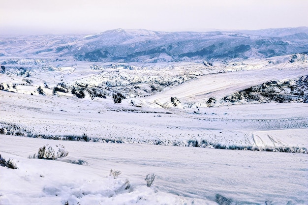 paesaggio invernale