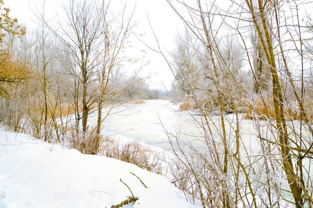 Paesaggio invernale