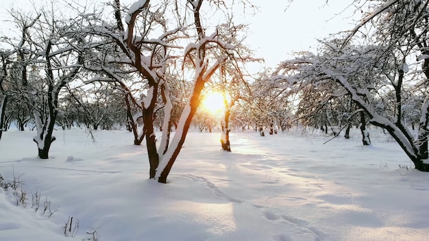 Paesaggio invernale