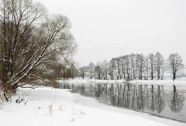 Paesaggio invernale