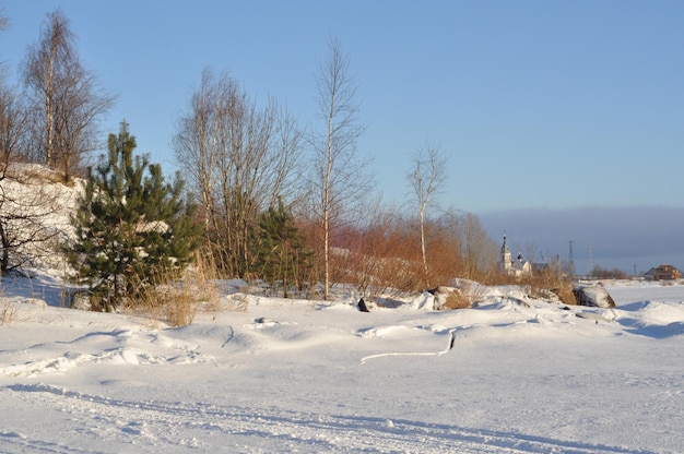 Paesaggio invernale