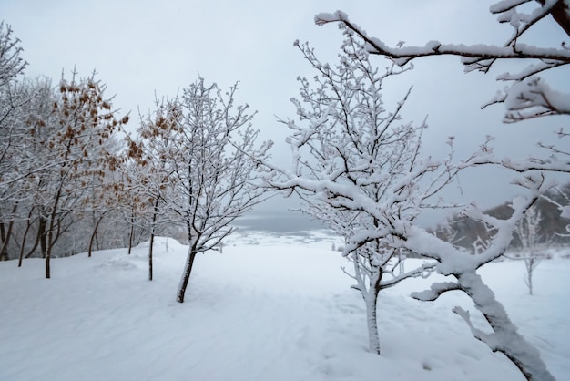 Paesaggio invernale