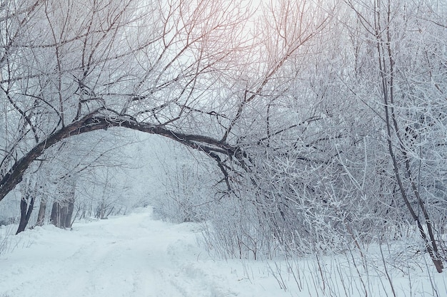 Paesaggio invernale