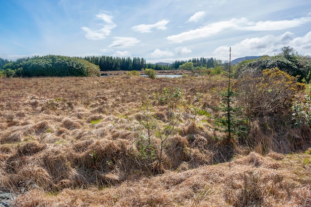 paesaggio irlandese