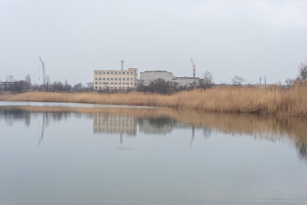 Paesaggio lacustre con riflesso di canne su acque calme con tempo nuvoloso