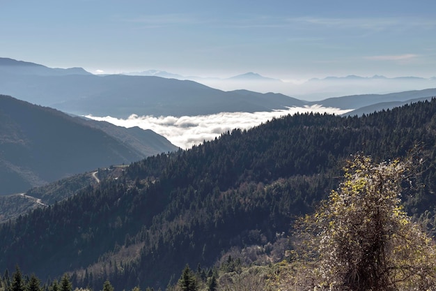 Paesaggio Le viste panoramiche sulle montagne e la nebbia Montagna Nafpaktia Grecia