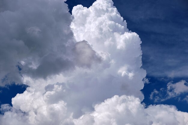 Paesaggio luminoso di nubi cumuliformi gonfie bianche su cielo blu chiaro