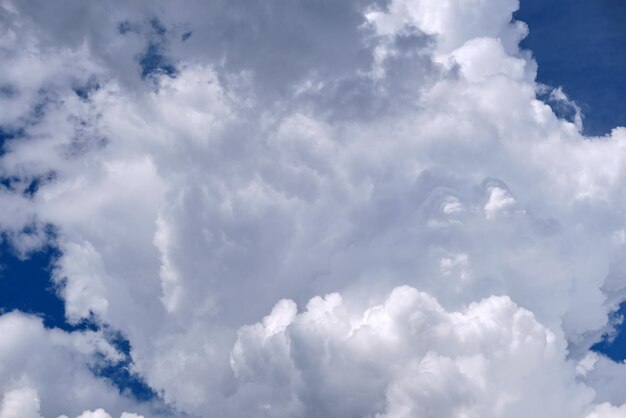 Paesaggio luminoso di nubi cumuliformi gonfie bianche su cielo blu chiaro.