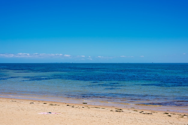 Paesaggio marino: cielo azzurro, oceano e bellissima spiaggia.