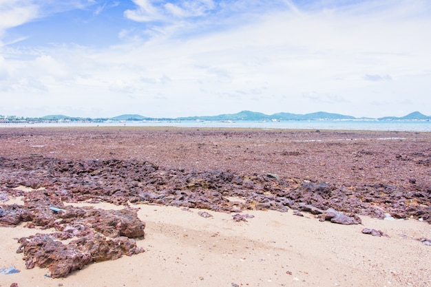 Paesaggio marino di pietra